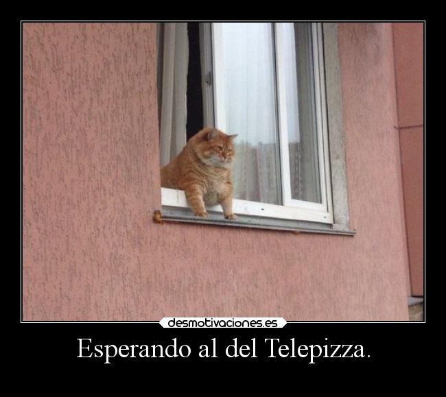 carteles alegria desmotivaciones