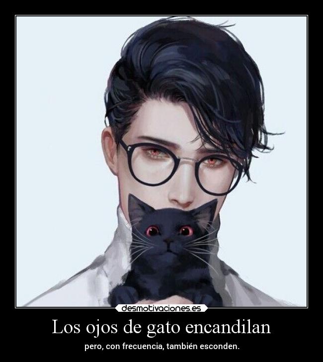 Los ojos de gato encandilan - pero, con frecuencia, también esconden.