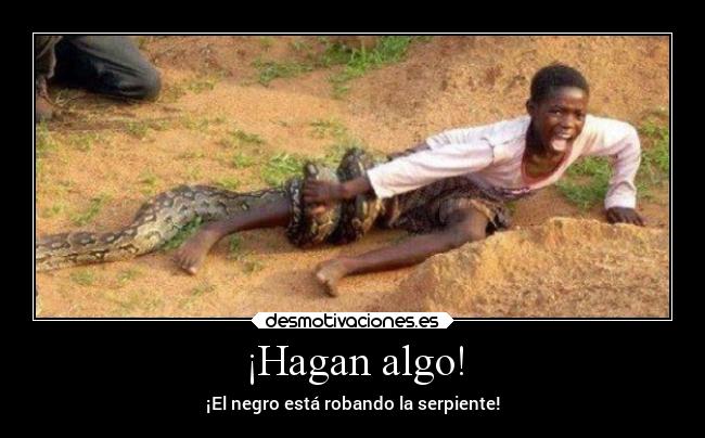 ¡Hagan algo! -