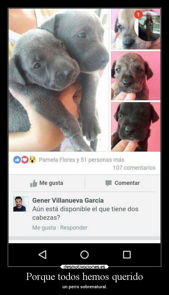 Porque todos hemos querido - un perro sobrenatural.