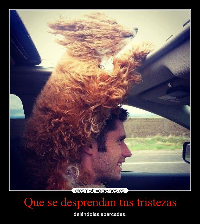 carteles alma vive desmotivaciones