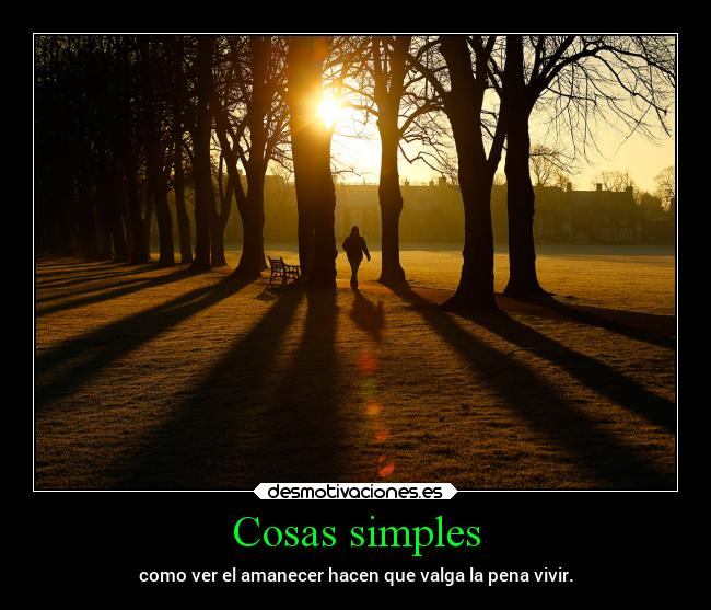 Cosas simples - 