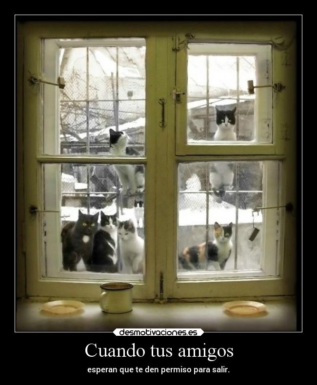 Cuando tus amigos - esperan que te den permiso para salir.