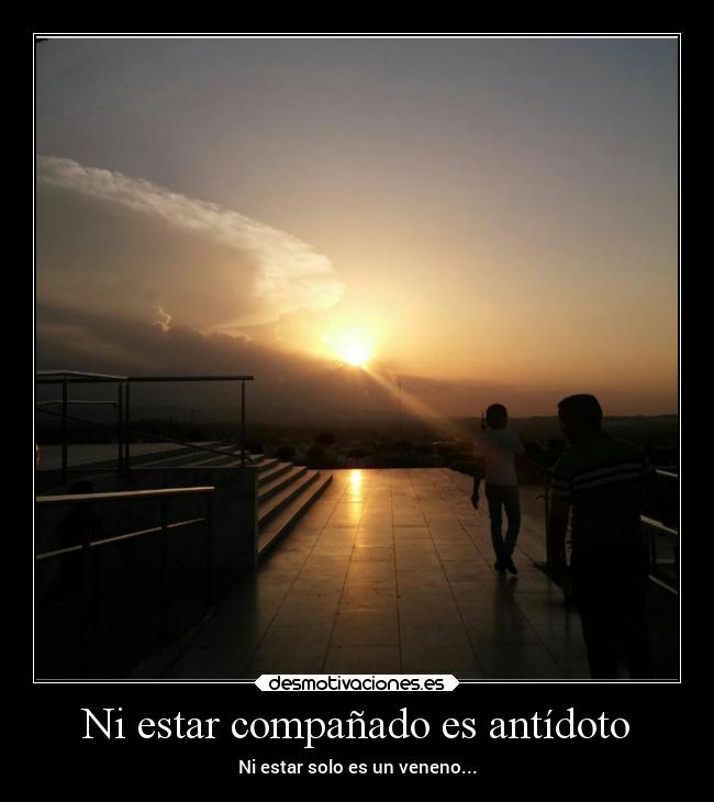 Ni estar compañado es antídoto - 