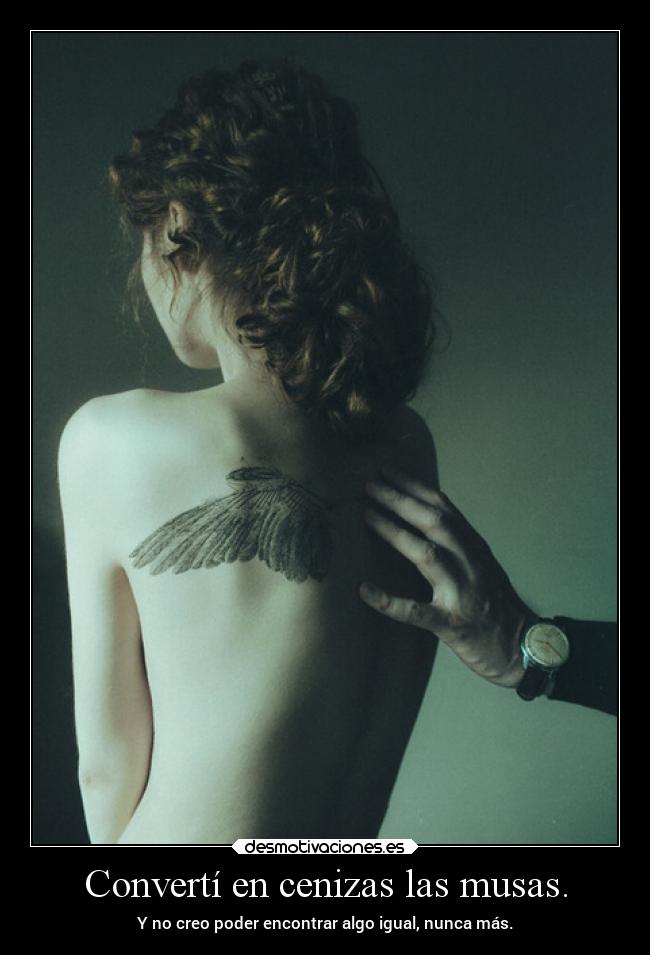 Convertí en cenizas las musas. - Y no creo poder encontrar algo igual, nunca más.
