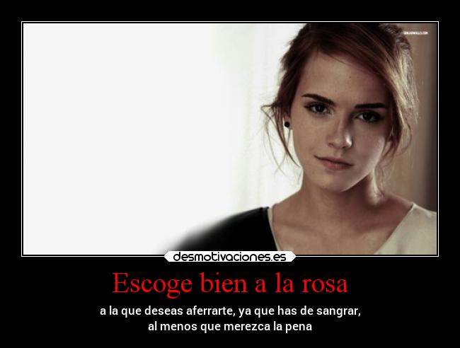 carteles amor rosas poetry emmawatson jessyteamo unicorniosrosasyazules desmotivaciones