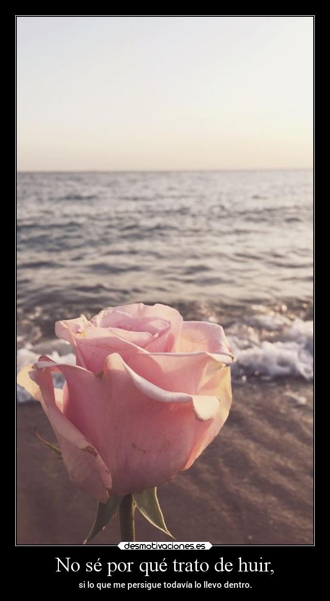 No sé por qué trato de huir, -