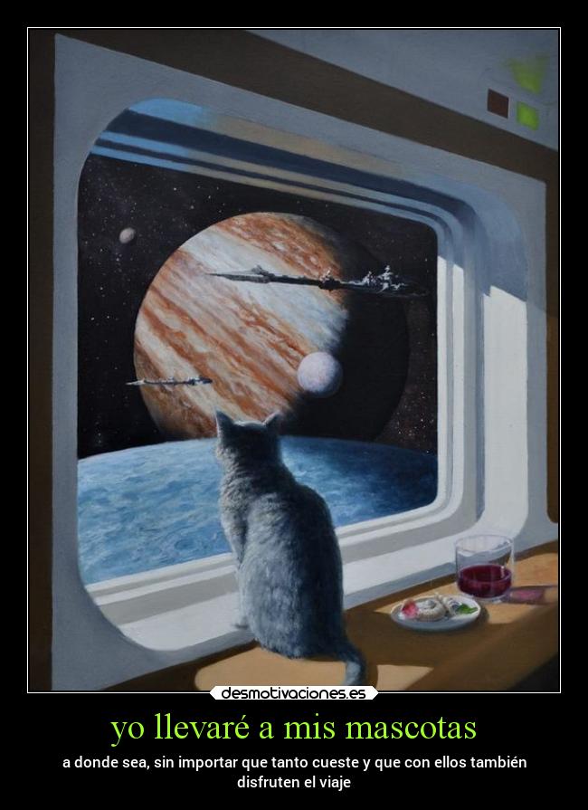 yo llevaré a mis mascotas - a donde sea, sin importar que tanto cueste y que con ellos también
disfruten el viaje