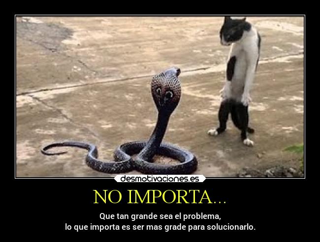 NO IMPORTA... - Que tan grande sea el problema,
lo que importa es ser mas grade para solucionarlo.