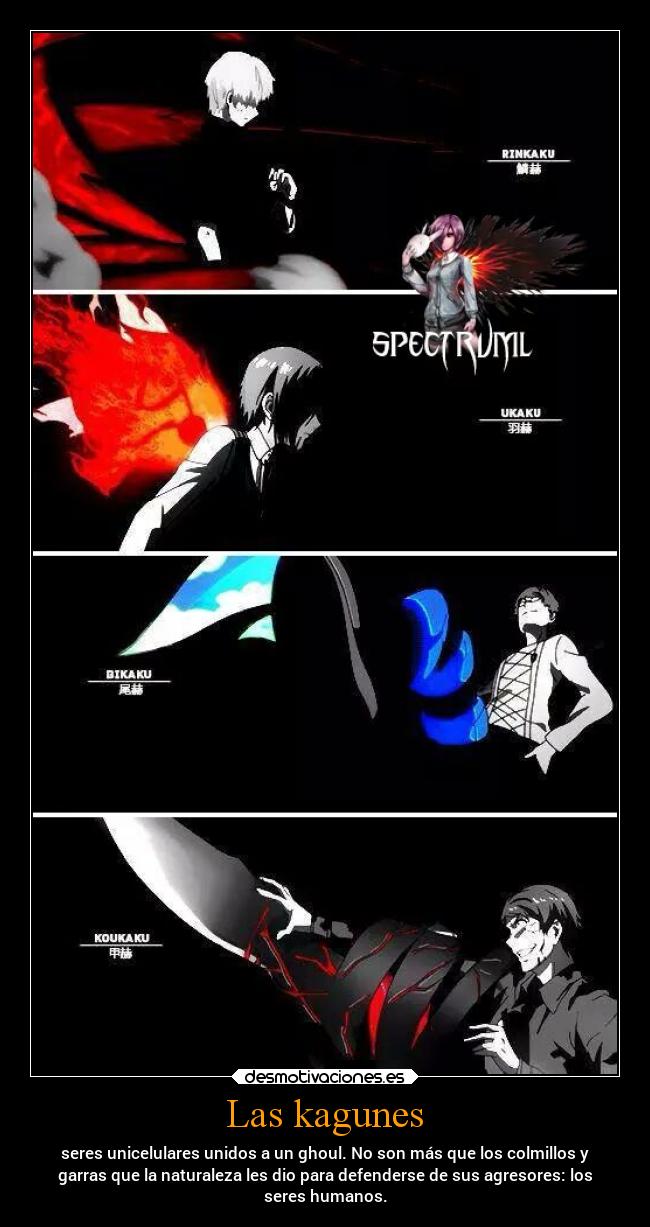 Las kagunes - seres unicelulares unidos a un ghoul. No son más que los colmillos y
garras que la naturaleza les dio para defenderse de sus agresores: los
seres humanos.