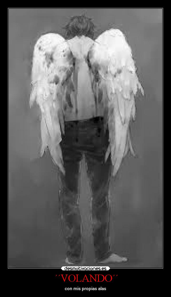 carteles anime tristeza locosdeamor desmounidos losanonimos angel desmotivaciones