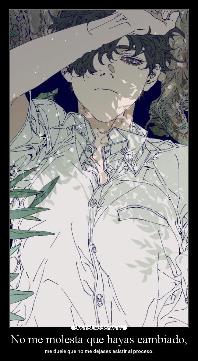 No me molesta que hayas cambiado, - me duele que no me dejases asistir al proceso.