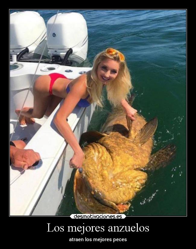 Los mejores anzuelos - 