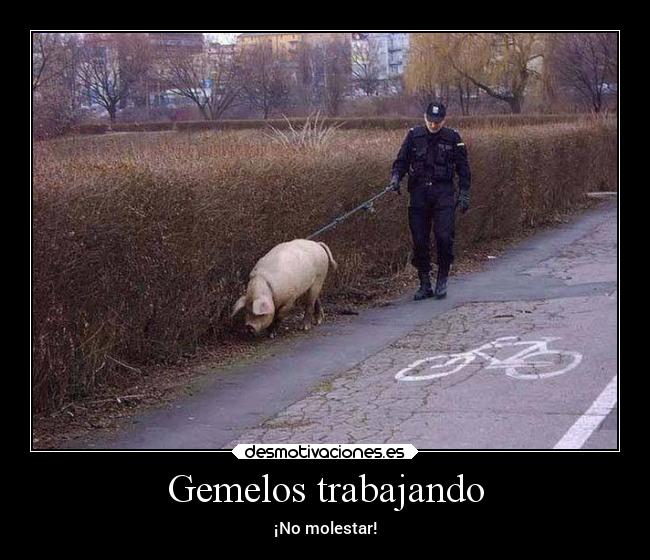 Gemelos trabajando -