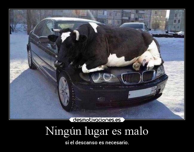 Ningún lugar es malo - si el descanso es necesario.