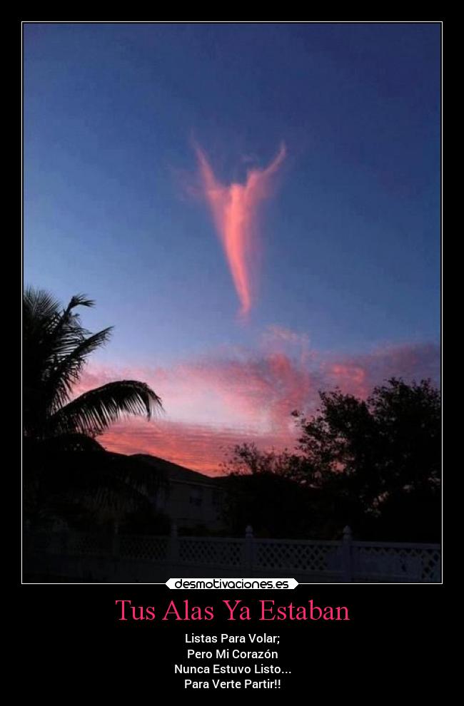 Tus Alas Ya Estaban - Listas Para Volar;
Pero Mi Corazón
Nunca Estuvo Listo...
Para Verte Partir!!