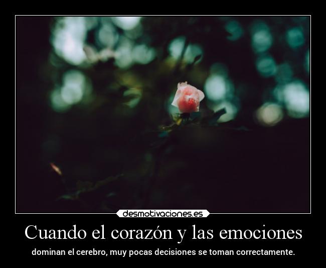 Cuando el corazón y las emociones - 