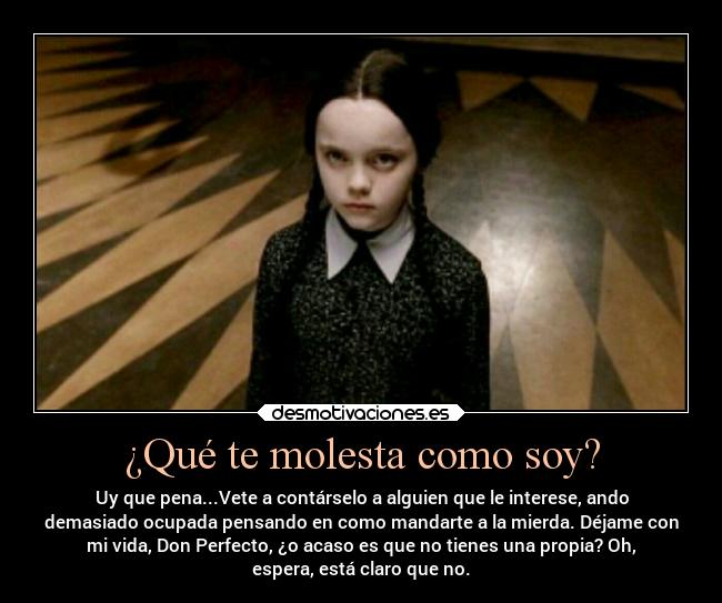 ¿Qué te molesta como soy? - Uy que pena...Vete a contárselo a alguien que le interese, ando
demasiado ocupada pensando en como mandarte a la mierda. Déjame con
mi vida, Don Perfecto, ¿o acaso es que no tienes una propia? Oh,
espera, está claro que no.