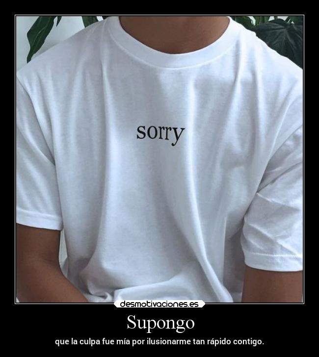 Supongo - que la culpa fue mía por ilusionarme tan rápido contigo.