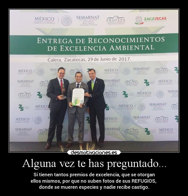 carteles desmotivaciones desmotivaciones