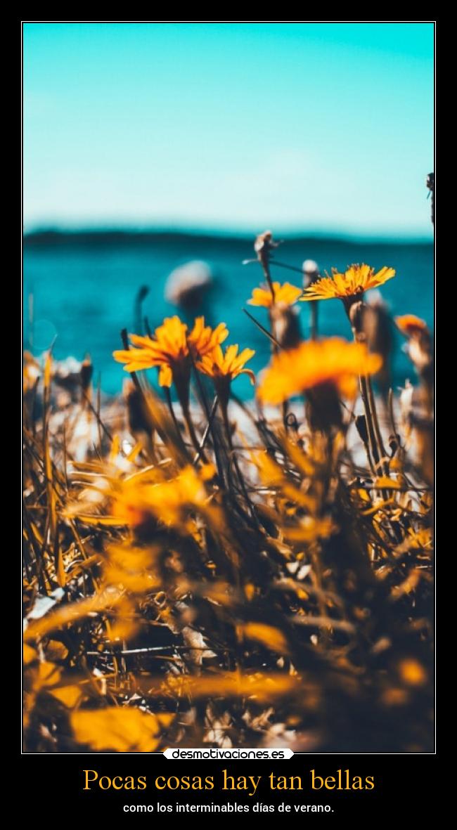 Pocas cosas hay tan bellas - como los interminables días de verano.