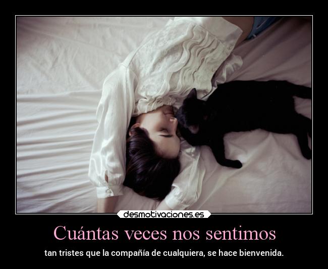 Cuántas veces nos sentimos - tan tristes que la compañía de cualquiera, se hace bienvenida.
