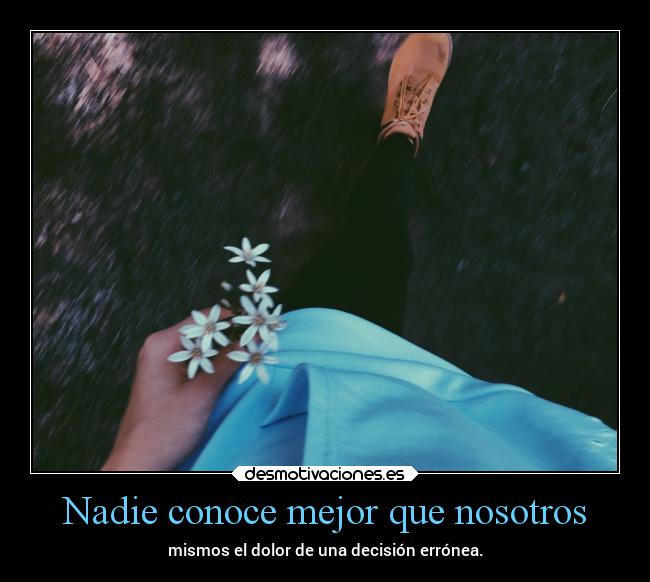 Nadie conoce mejor que nosotros - 