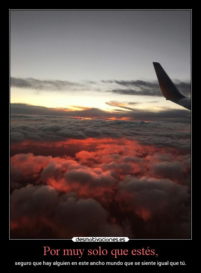 Por muy solo que estés, - seguro que hay alguien en este ancho mundo que se siente igual que tú.