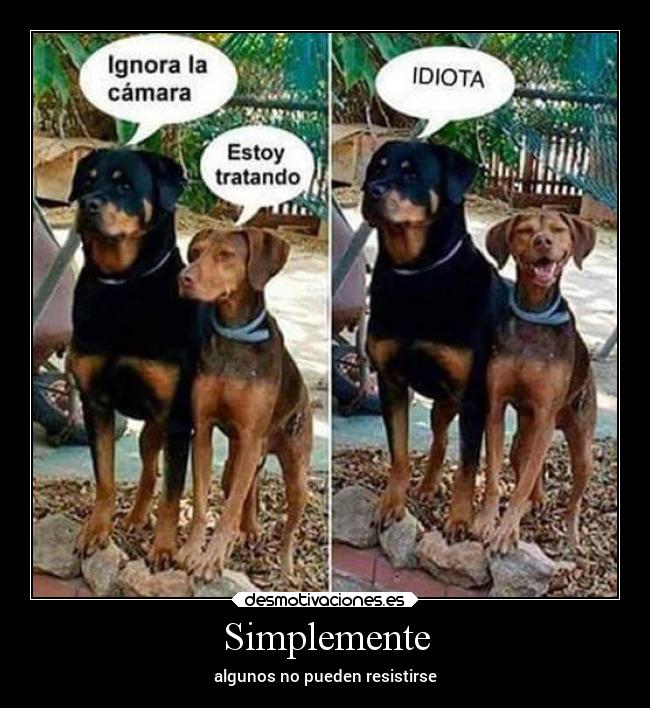 Simplemente - algunos no pueden resistirse