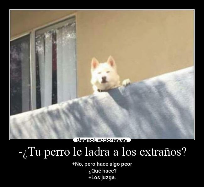 -¿Tu perro le ladra a los extraños? -