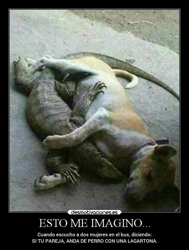 ESTO ME IMAGINO... - Cuando escucho a dos mujeres en el bus, diciendo:
SI TU PAREJA, ANDA DE PERRO CON UNA LAGARTONA.