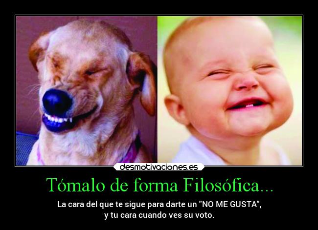 Tómalo de forma Filosófica... - La cara del que te sigue para darte un NO ME GUSTA,
y tu cara cuando ves su voto.