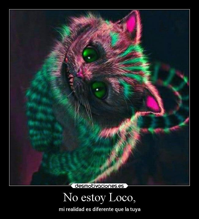 No estoy Loco, - mi realidad es diferente que la tuya