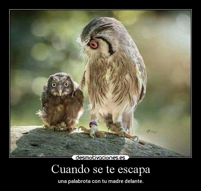 Cuando se te escapa -