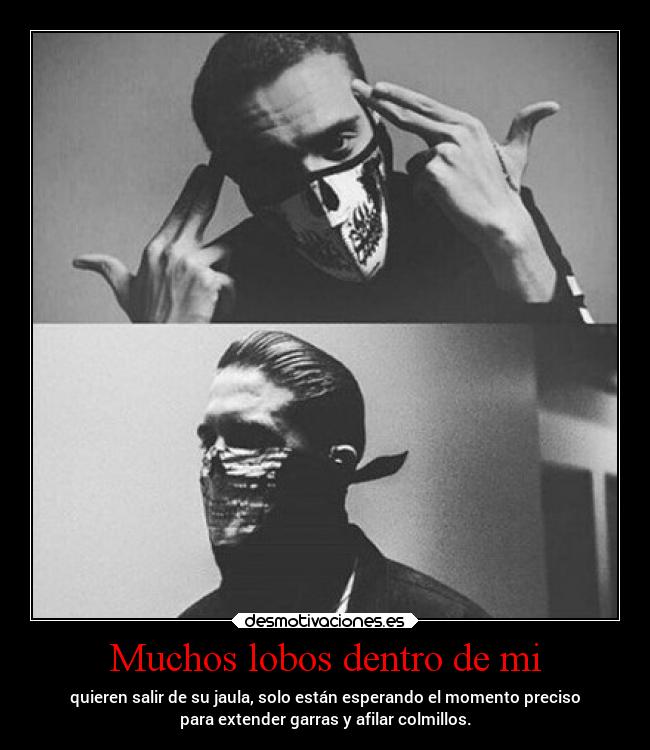 Muchos lobos dentro de mi - quieren salir de su jaula, solo están esperando el momento preciso
para extender garras y afilar colmillos.