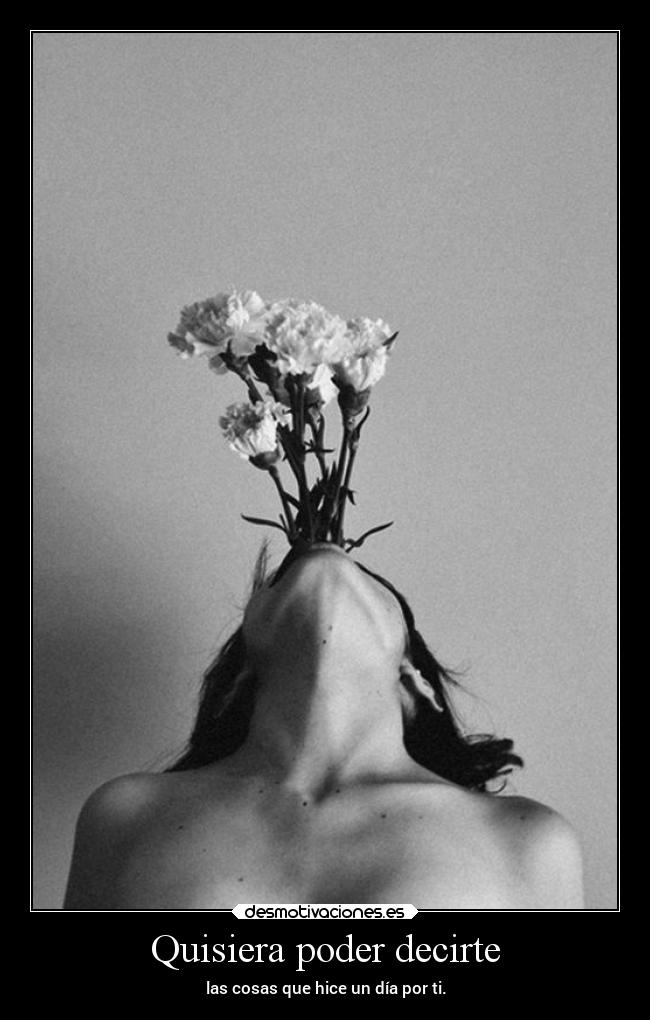 Quisiera poder decirte -