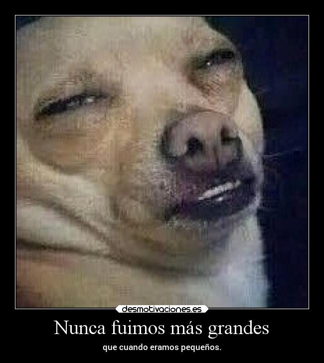 carteles pensamientos desdeunrincondeestemundoquesecaeapedazos desmotivaciones