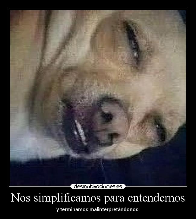 carteles pensamientos desdeunrincondeestemundoquesecaeapedazos desmotivaciones