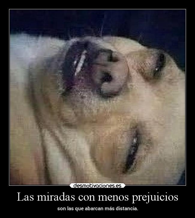 carteles pensamientos desdeunrincondeestemundoquesecaeapedazos desmotivaciones