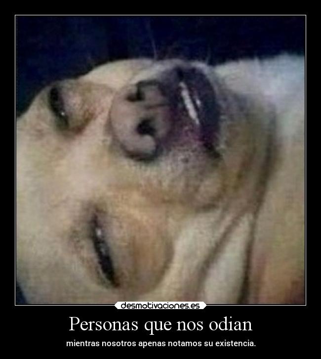 carteles pensamientos desdeunrincondeestemundoquesecaeapedazos desmotivaciones