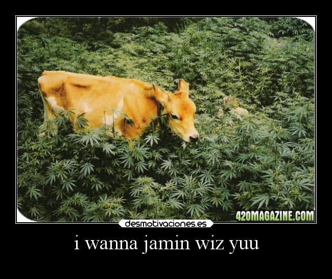 i wanna jamin wiz yuu -