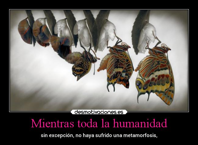 Mientras toda la humanidad - sin excepción, no haya sufrido una metamorfosis,