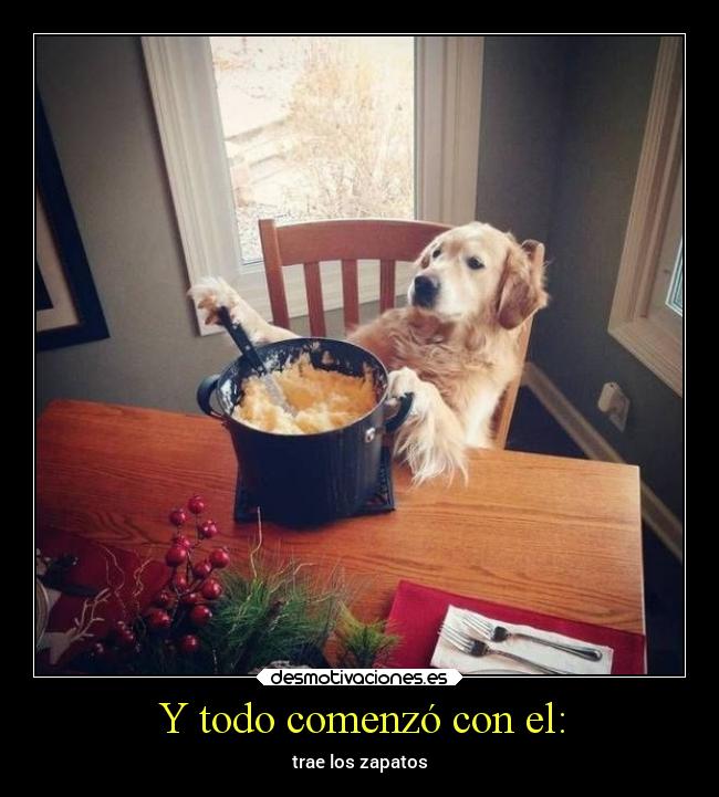 Y todo comenzó con el: -