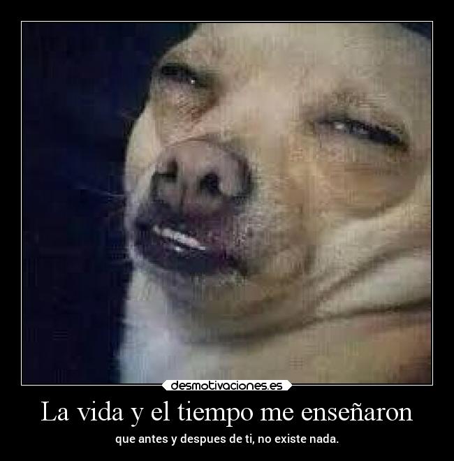 carteles vida vida amor cartelesestupidosdeelhada desmotivaciones