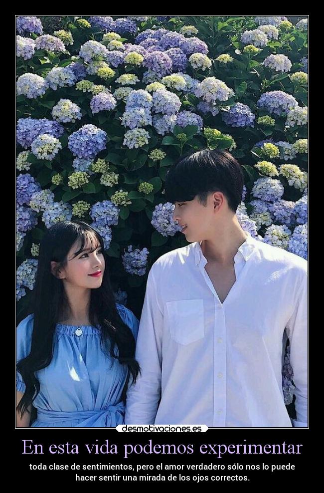 En esta vida podemos experimentar - 