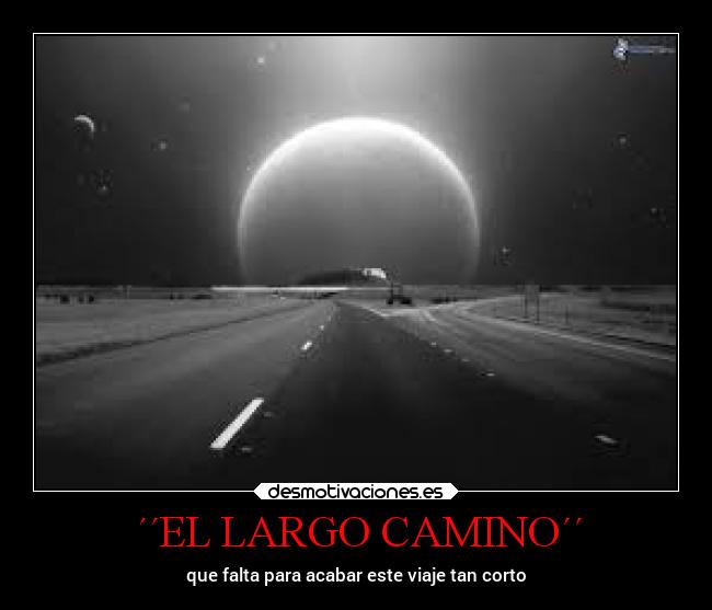 carteles vida anime marionobros locosdeamor losanonimos desmounidos camino decisiones desmotivaciones