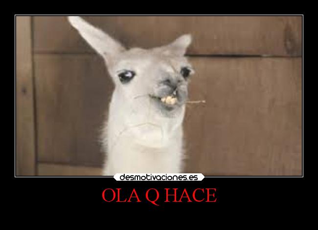 carteles vida desmounidos losanonimos marionobros hola que hace locosdeamor troll desmotivaciones