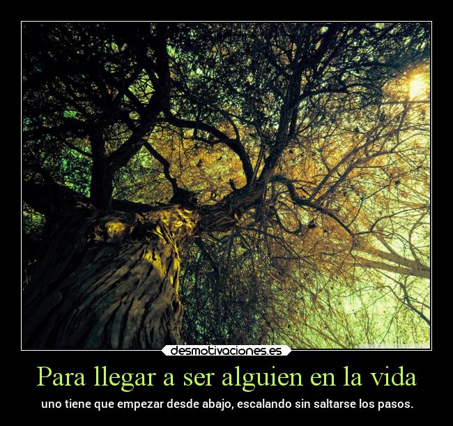 carteles vida vida frases caminos verde bosque chopper igbt lossupervivientes desmotivaciones