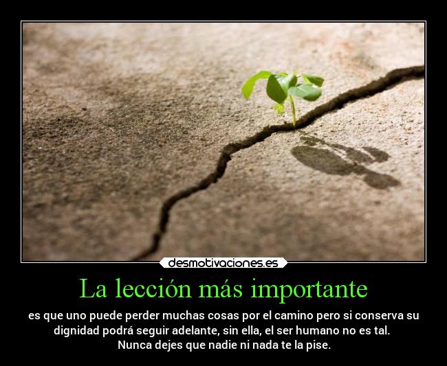 La lección más importante - es que uno puede perder muchas cosas por el camino pero si conserva su
dignidad podrá seguir adelante, sin ella, el ser humano no es tal.
Nunca dejes que nadie ni nada te la pise.