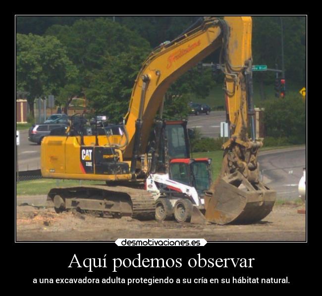 carteles vida desmotivaciones